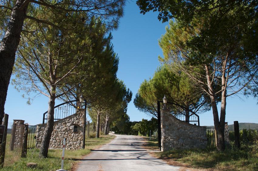 Agriturismo Collepina Amelia Exterior foto