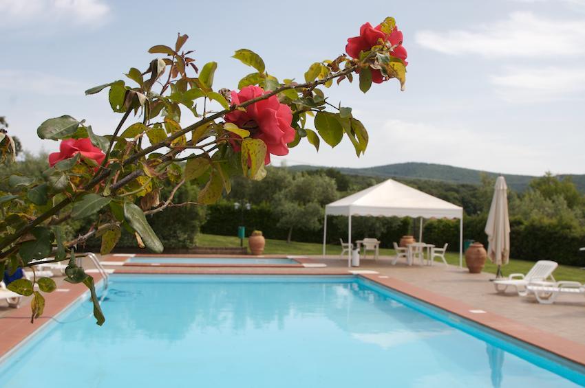 Agriturismo Collepina Amelia Exterior foto