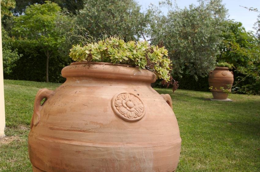 Agriturismo Collepina Amelia Exterior foto