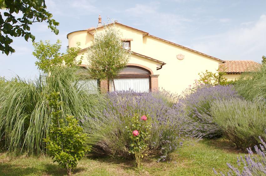 Agriturismo Collepina Amelia Exterior foto
