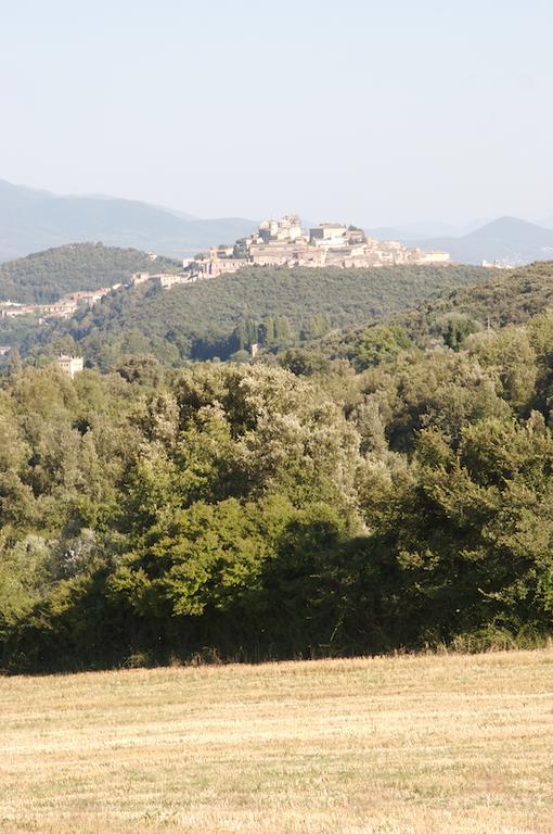 Agriturismo Collepina Amelia Exterior foto